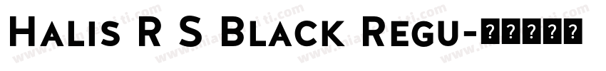 Halis R S Black Regu字体转换